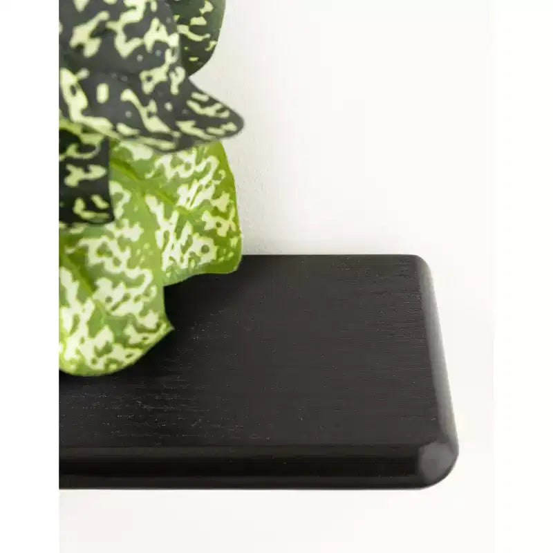Kate & Laurel All Things Decor 18"x6"x30" Ramos Scaffale d'Accento Legno/Metallo Nero: Contenitore Moderno Galleggiante, Design a 3 Ripiani